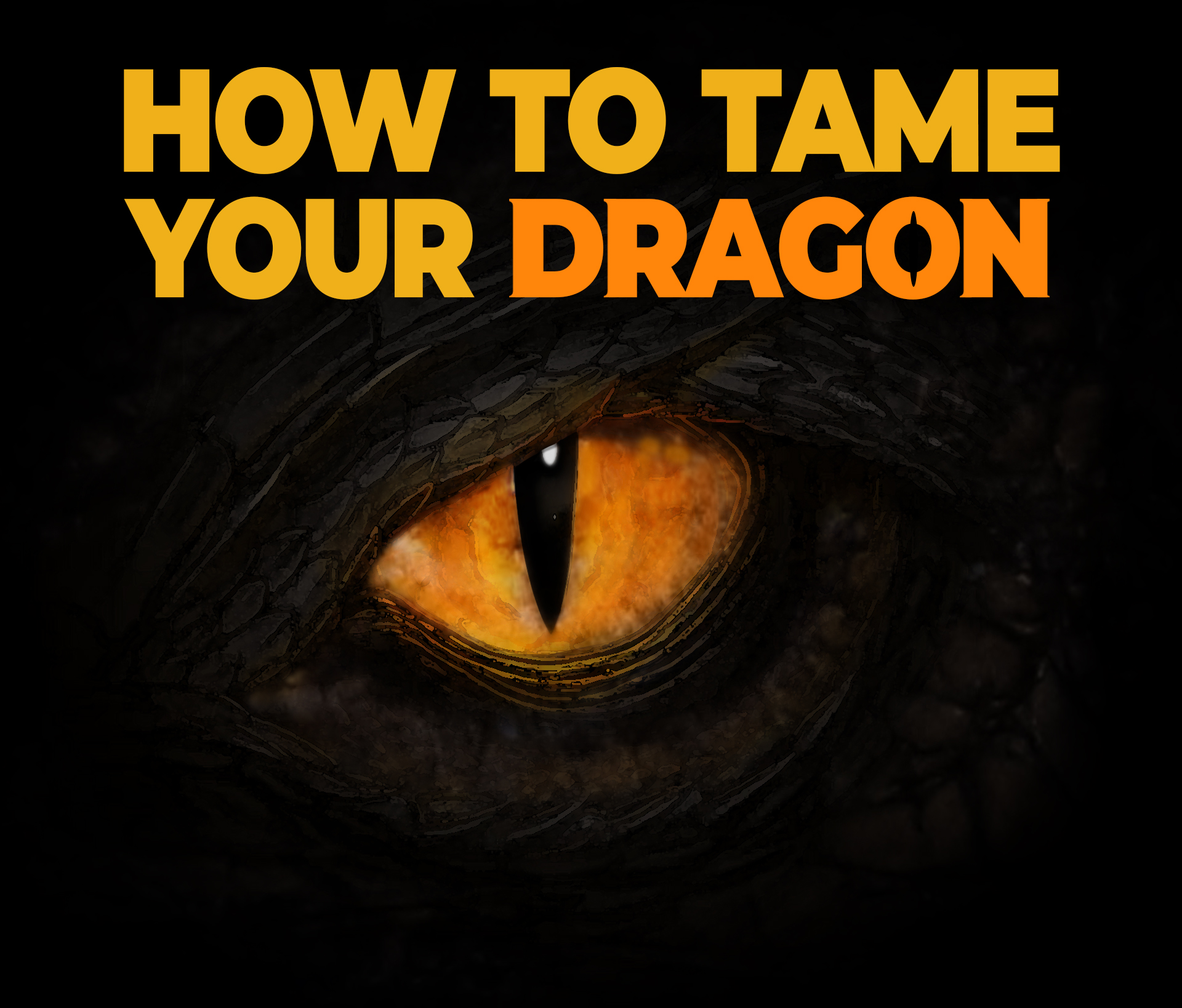 How to Tame your Dragon